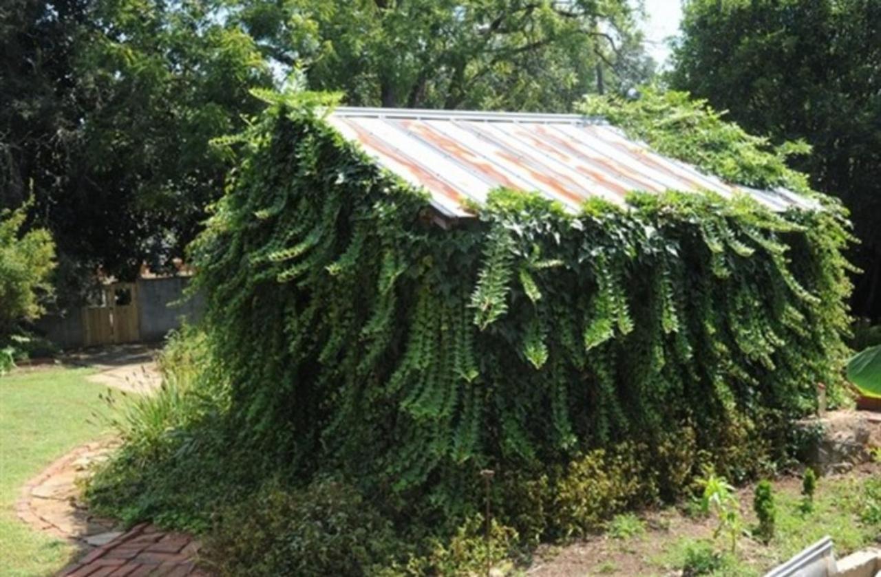 Clevedale Historic Inn And Gardens Spartanburg Exterior foto
